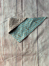 Load image into Gallery viewer, Squirrel/ Star dog bandanna
