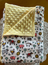 Load image into Gallery viewer, Farm Flannel and Minky Blanket
