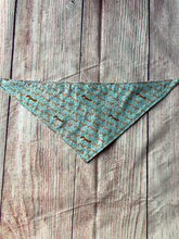 Load image into Gallery viewer, Squirrel/ Star dog bandanna
